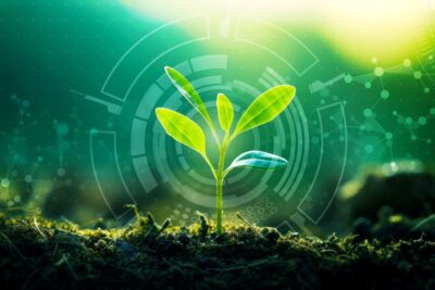 Leonardo e Bf uniscono tecnologia e agricoltura sostenibile nel Piano Mattei, promuovendo sviluppo in Africa.