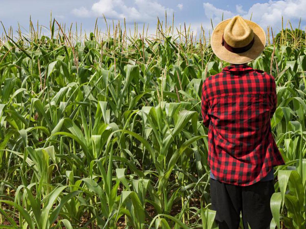 La riforma PAC mira a superare la burocrazia, sostenere i veri agricoltori e rilanciare il settore agroalimentare europeo.