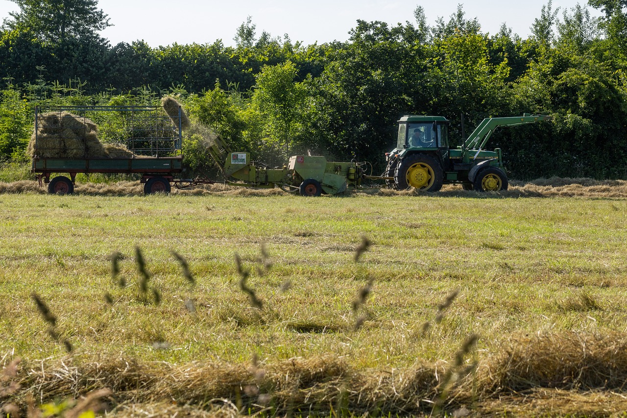 Rina Agrifood potenzia la certificazione agroalimentare con innovazioni digitali e un approccio integrato Esg per il 2030.